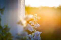 Photographer Bright Bride Photography Wedding film Heartmade films Venue Blue