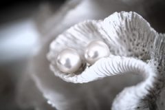 Photographer Bright Bride Photography Wedding film Heartmade films Venue Blue