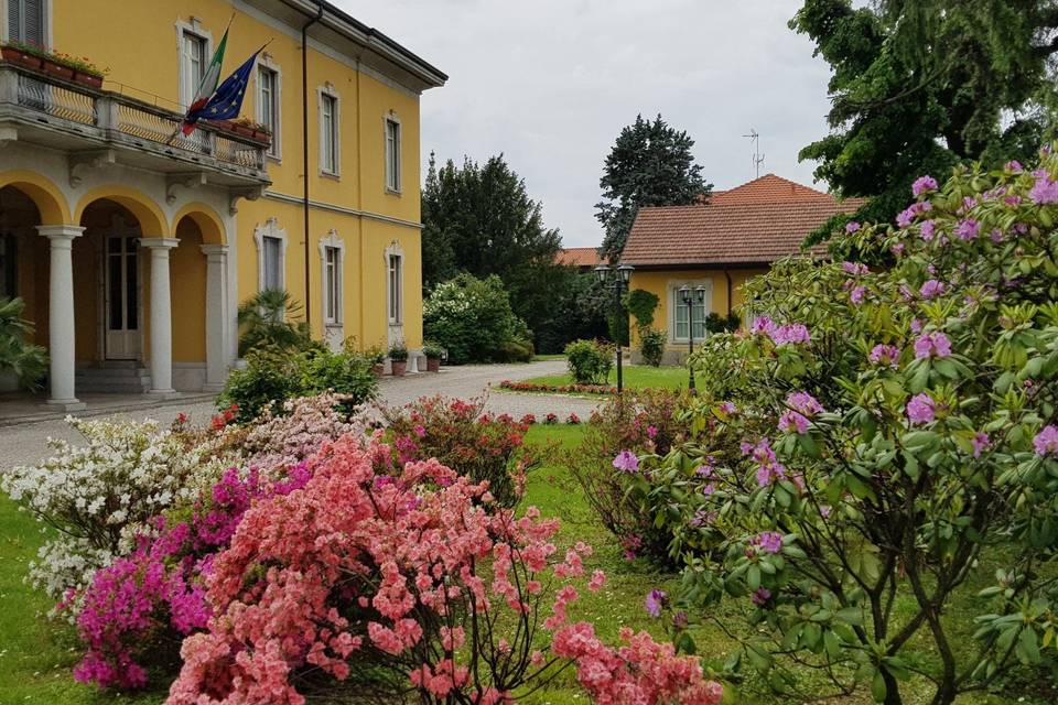 41806080125-75bdc6f6f3-o_2_121132-1555247783