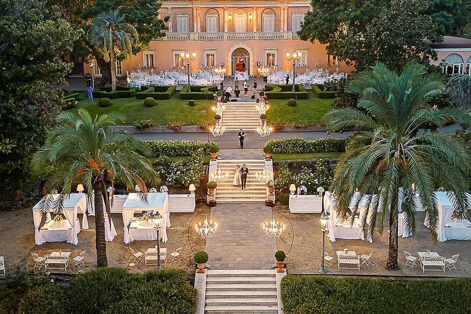 limonaia-23_2_19544-174195516385851