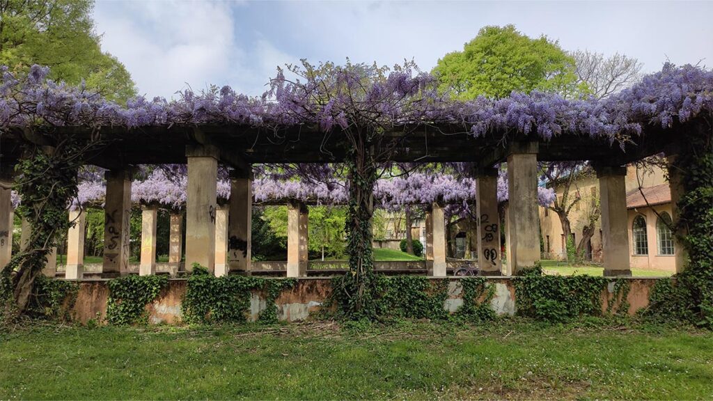 poi-villa-burba-gallery-visit-rho