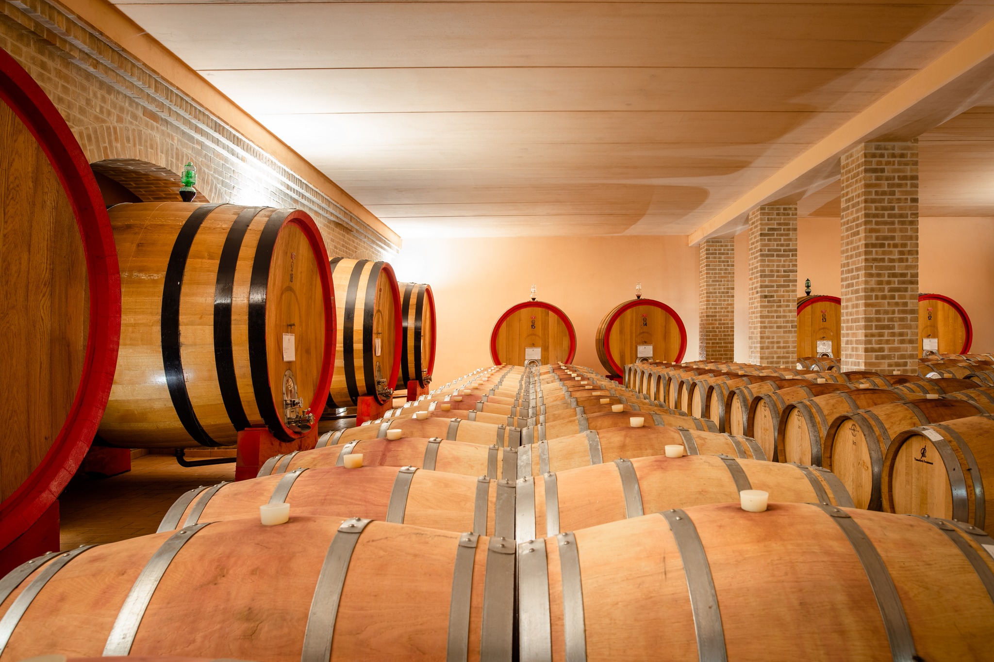 632920963_122214015164354484_1298808728620478049_n-1